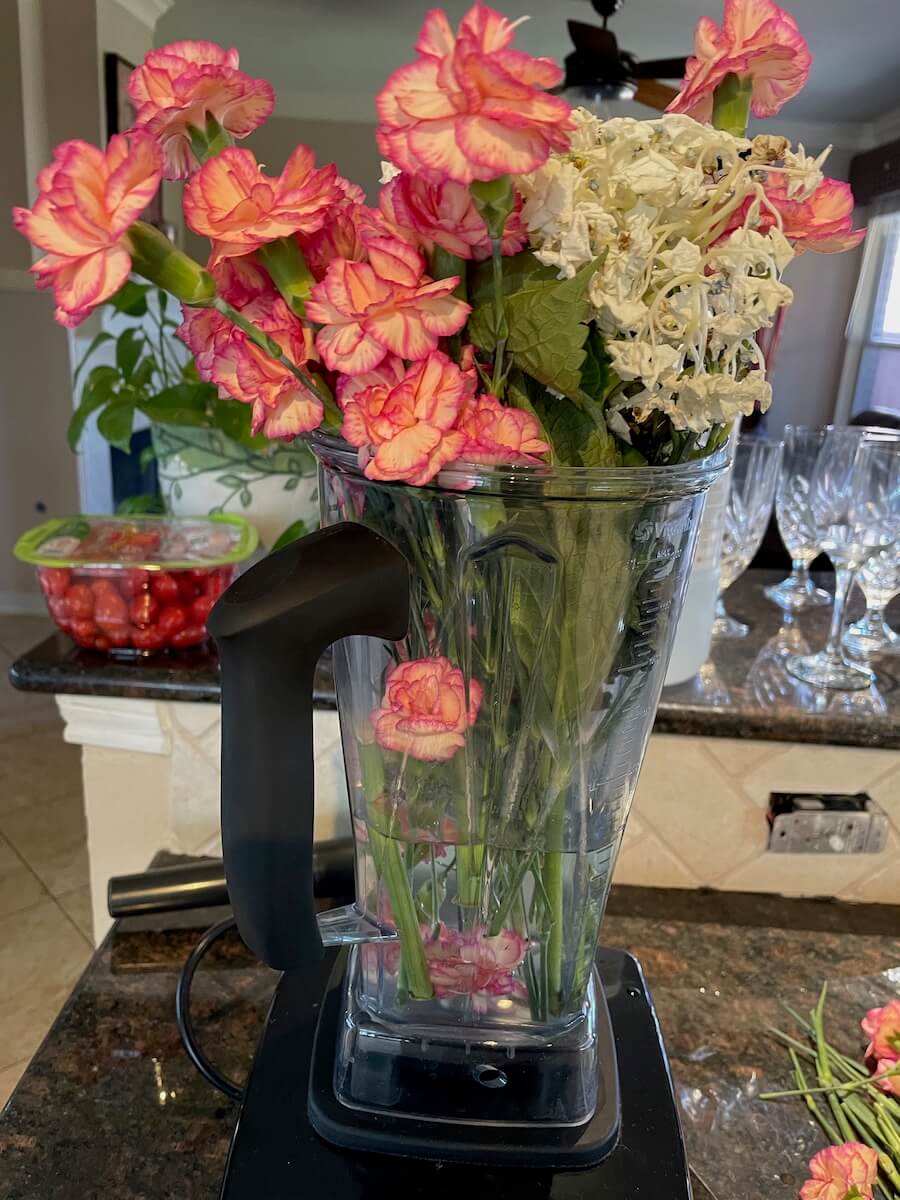 Bundle of carnations in a blender with water about to be blended.
